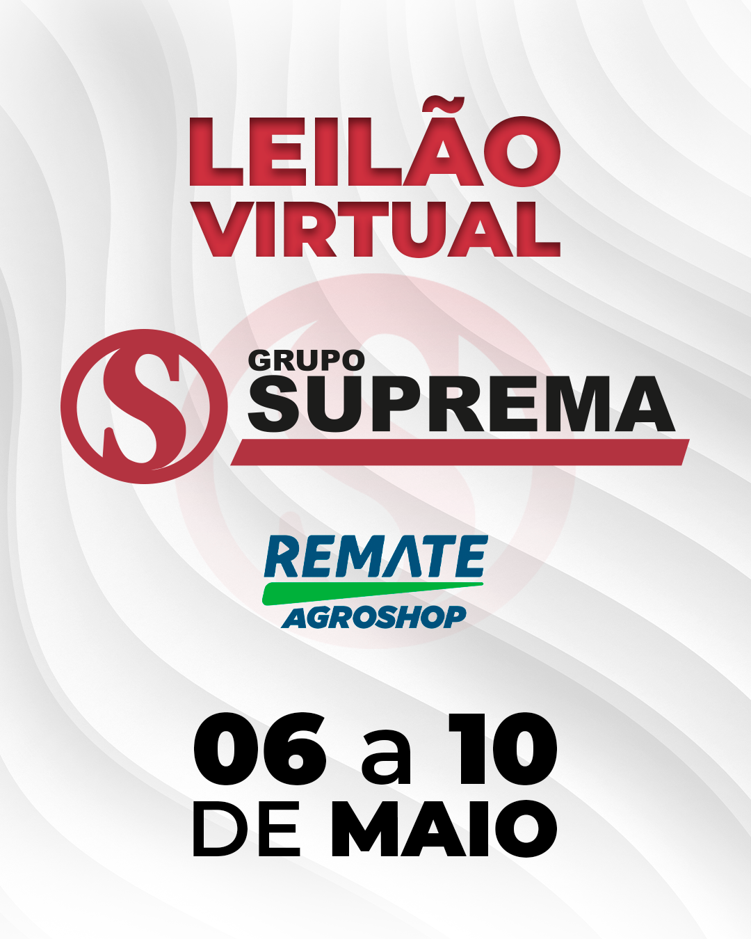 Leilão Suprema